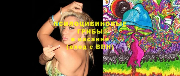 дурь Белоозёрский