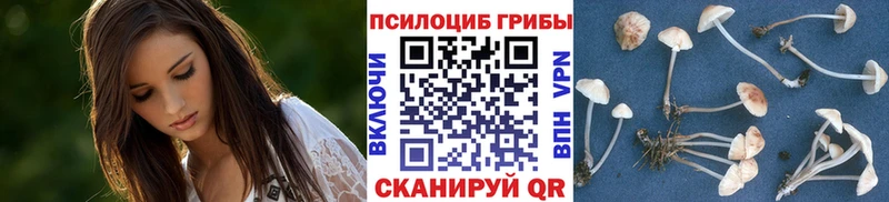 Псилоцибиновые грибы ЛСД  Дигора 