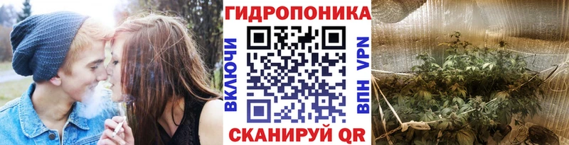 Каннабис ГИДРОПОН где можно купить Дигора